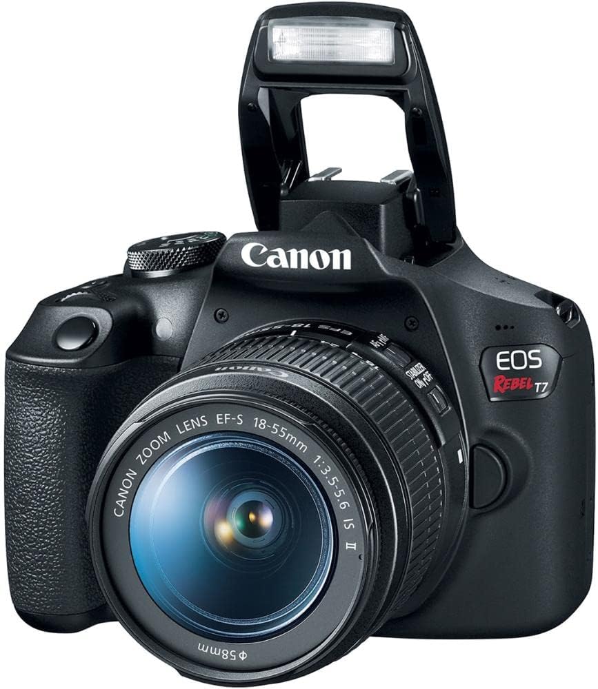 câmeras DSLR e Mirrorless