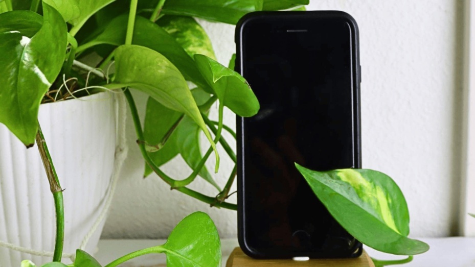 Gadgets Eco-Friendly: Como Escolher Eletrônicos Sustentáveis e Conscientes