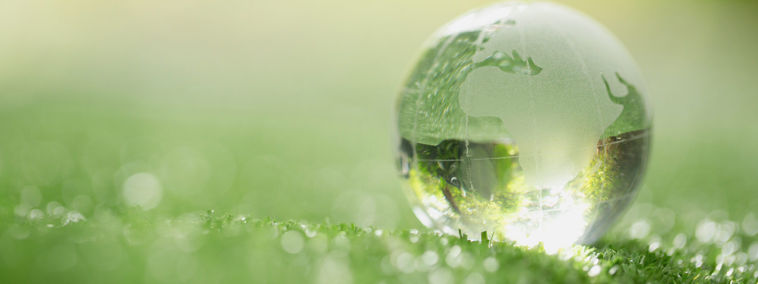 Viagens sustentáveis: como escolher hospedagens eco-friendly