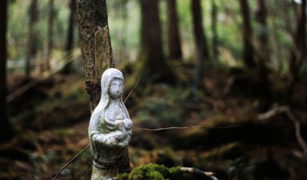 Floresta Aokigahara no Japão – um dos destinos assombrados ao redor do mundo"